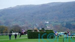 Tommie Beau could seek alternative targets to Cheltenham after cross-country drama