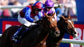 O&rsquo;Brien open to Saudi Arabia option for Jan Brueghel