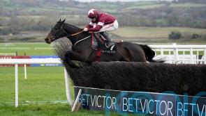 Touch Me Not takes Craddockstown crown