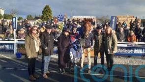 Colonel Harry heads 16 chasing Newbury Gold