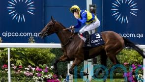 Goliath to sidestep Hong Kong Vase