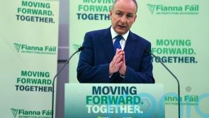 Friday&rsquo;s election will be &lsquo;closely fought race&rsquo; &ndash; Tanaiste