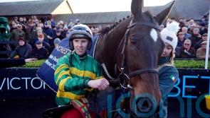 Fact To File could yet enter the King George picture, says Mullins