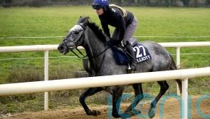 Fil Dor beats only rival at long odds-on for Thurles Listed gold