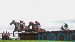 Naturally Nimble registers 33-1 shock at Fairyhouse