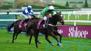 Jonbon heads eight contenders for Tingle Creek crown