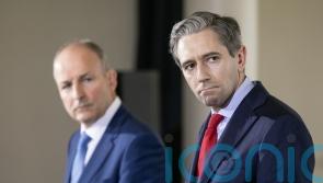 Fianna Fail and Fine Gael eye independent TDs as option to secure Dail majority