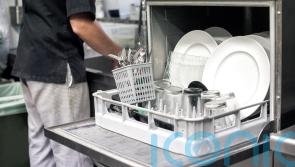 Irregular employment of migrant workers falls following new laws