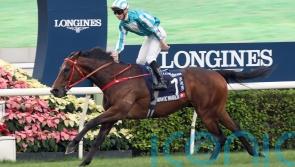 Romantic Warrior creates Hong Kong Cup history