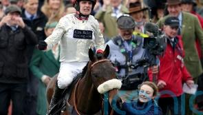 Bailey seeking future pointers from Chianti Classico at Cheltenham