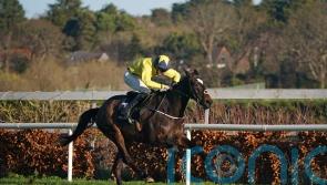 Barry Connell lining up trio of stable stars for Christmas action