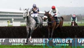King Turgeon surges up the Cheltenham hill for Pipe and Tudor