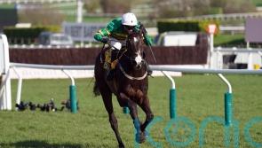 &lsquo;Hugely exciting&rsquo; Majborough over fences for the first time at Fairyhouse