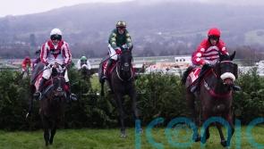 Donoghue delivers another Cross Country masterclass on Stumptown