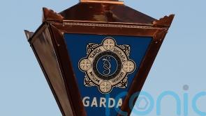 Victim in critical condition following Dublin assault