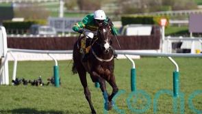 Majborough makes magnificent chasing debut at Fairyhouse