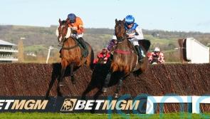 Skelton reveals Madara suffered Cheltenham injury blow