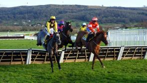 Festival dreams alive for Jack Jones with Teriferma