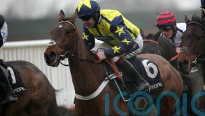 Tommy Whittle chance for Surrey Quest this weekend