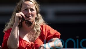 Needlepoint has Amy Murphy California dreaming