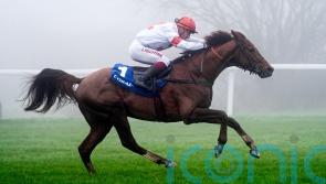 Nietzsche Has what it takes to be Finale hero for France