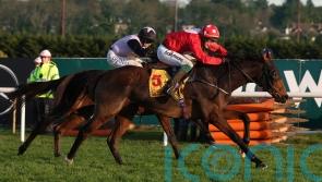 Home By The Lee continues &lsquo;dream&rsquo; run for Joseph O&rsquo;Brien