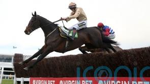 Broadway Boy looking to take leading role at Cheltenham again