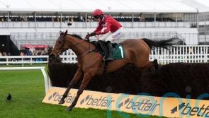 Kalif Du Berlais impresses with Cheltenham strike