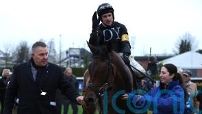 Rising star The New Lion snapped up by JP McManus