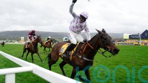 Golden Ace set to move down in distance for next outing