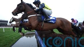 Surrey Quest hoping to beat the weather for Kempton run