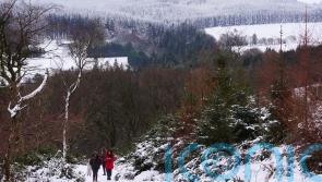 Thousands still without power can use hotel facilities during Irish cold snap