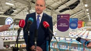 Micheal Martin refuses to comment on Michael Lowry&rsquo;s integrity