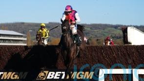 Curtis unsure on Couleurs&rsquo; course to Cheltenham