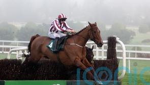 O&rsquo;Loughlin weighing up Windsor for Jeannot Lapin