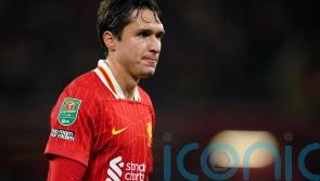 Federico Chiesa still has a part to play for Liverpool this season &ndash; Arne Slot