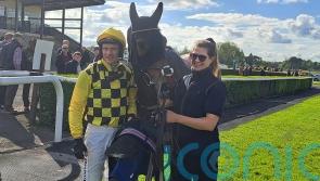 All eyes on Salvator Mundi at Punchestown on Sunday