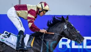 Heart Of Honor has Osborne dreaming of UAE Guineas glory