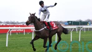 Constitution Hill could face Champion Hurdle challenge from Japan