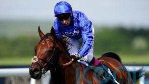 Royal Ascot hero Wild Tiger returns to action at Meydan