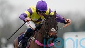 Nemean Lion hunts down Salver for gutsy success