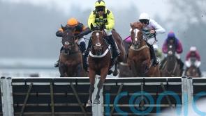 Triumph favourite Lulamba sparkles on Ascot bow