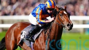 Lake Victoria crowned top juvenile filly following stellar campaign