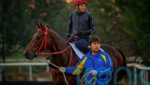 Hong Kong superstar Romantic Warrior gets Meydan sighter in Jebel Hatta