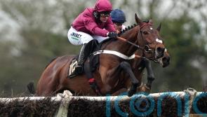 Palladium makes workmanlike start with victory at Huntingdon