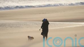 Millions urged to stay home as record-breaking Storm Eowyn brings disruption