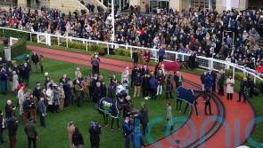 Savill: Trainers not seeking to benefit personally from interview payments