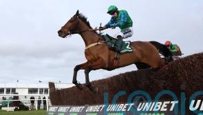 Snowden leaning towards Denman Chase for Ga Law