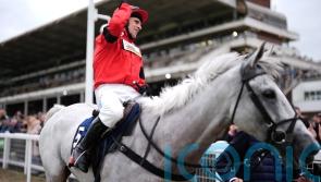 Skelton happy to have likes of Grey Dawning on his side in David Power Jockeys&rsquo; Cup race