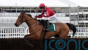 Nicholls hoping Scilly Isles will point the way for Kalif Du Berlais